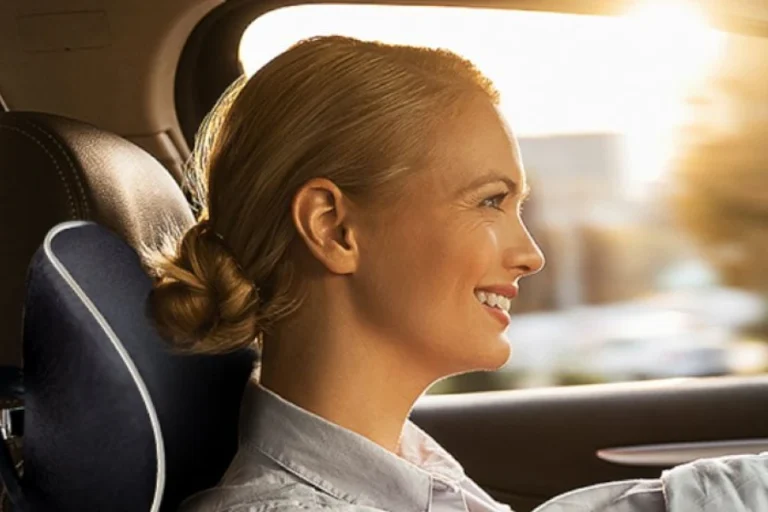 Car Seat Support Pillow